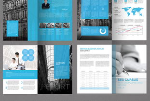 2017大氣企業(yè)形象畫冊(cè)設(shè)計(jì)模板 打造專業(yè)國(guó)內(nèi)貿(mào)易代理品牌形象